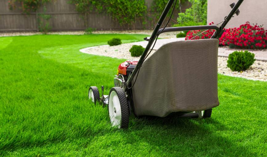 Lawn Care