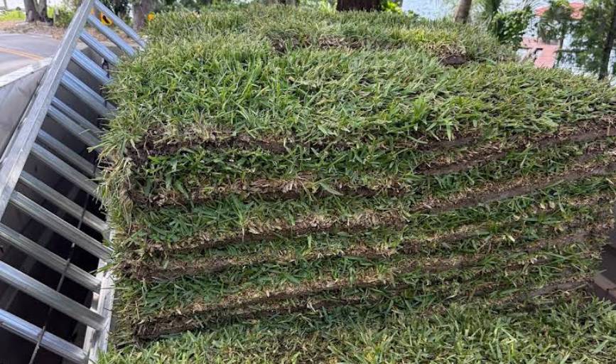 Sod Installation